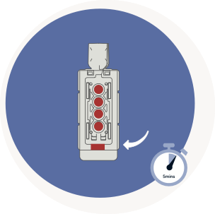 Test Horizontal Gallery Image 4